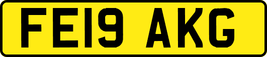 FE19AKG