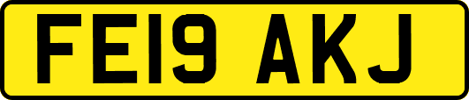 FE19AKJ