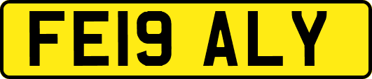 FE19ALY
