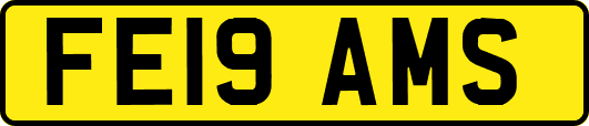 FE19AMS