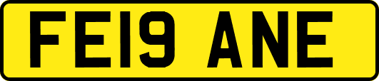 FE19ANE