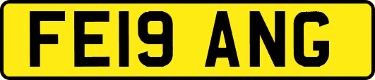 FE19ANG