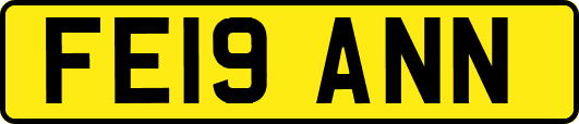 FE19ANN