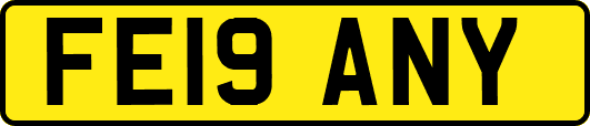 FE19ANY