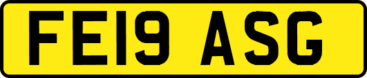 FE19ASG