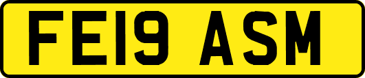 FE19ASM