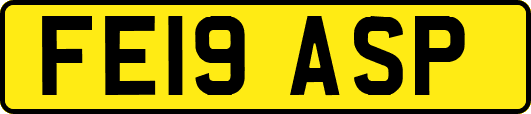 FE19ASP