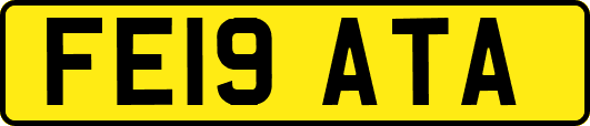 FE19ATA