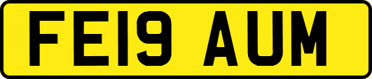 FE19AUM