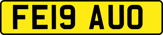 FE19AUO