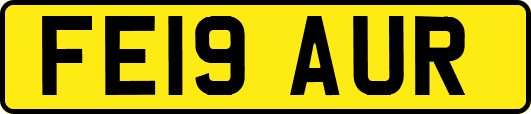 FE19AUR
