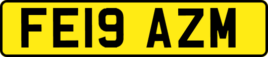 FE19AZM