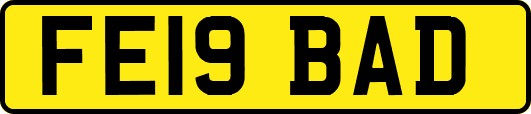 FE19BAD