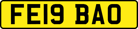 FE19BAO
