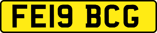 FE19BCG