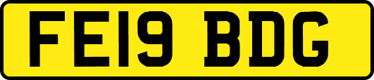 FE19BDG