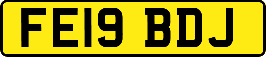 FE19BDJ