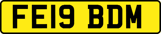 FE19BDM