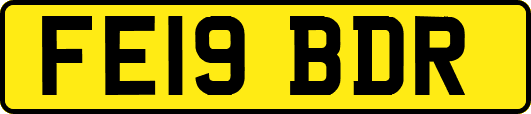 FE19BDR