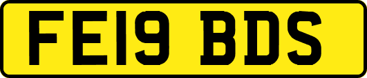 FE19BDS
