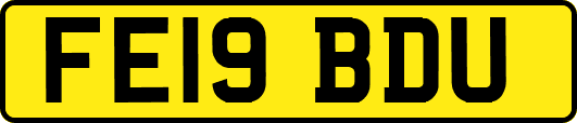 FE19BDU