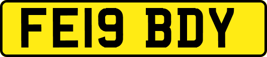 FE19BDY