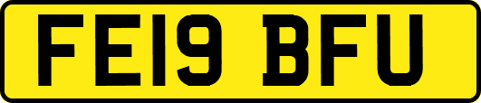 FE19BFU