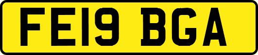 FE19BGA