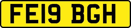 FE19BGH
