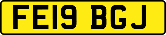 FE19BGJ