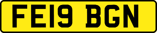 FE19BGN