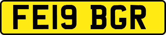 FE19BGR