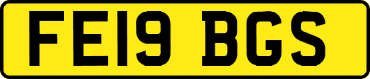 FE19BGS