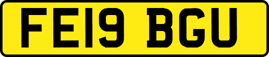 FE19BGU
