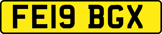 FE19BGX