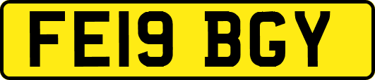 FE19BGY