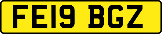 FE19BGZ