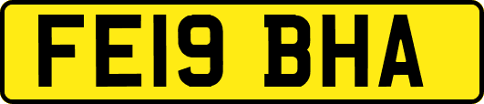 FE19BHA