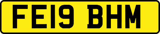 FE19BHM