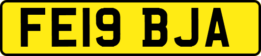 FE19BJA