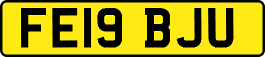 FE19BJU