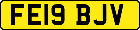 FE19BJV