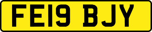 FE19BJY