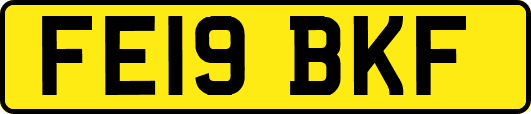 FE19BKF