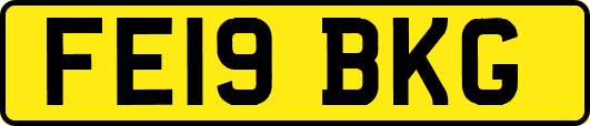 FE19BKG