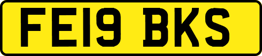 FE19BKS
