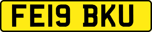 FE19BKU