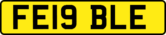 FE19BLE