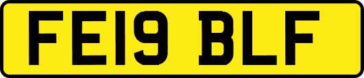 FE19BLF