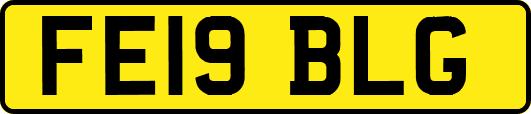 FE19BLG